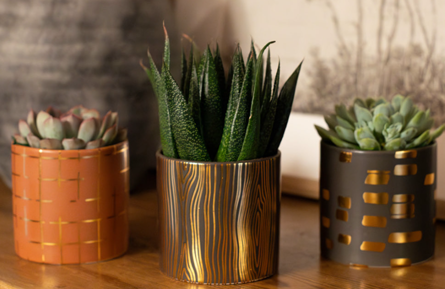 Gold Fashioned Succulent Planter-image